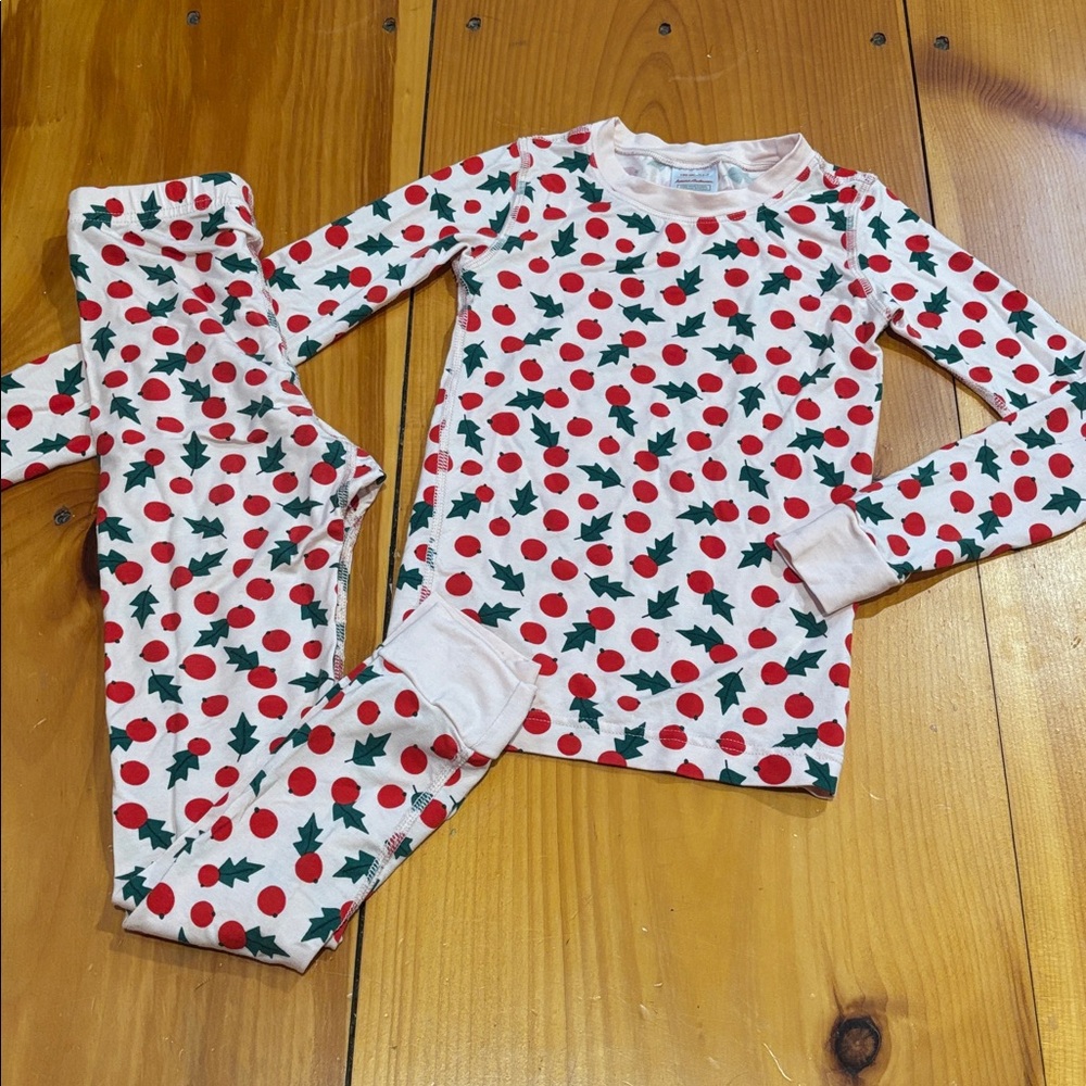 HANNA ANDERSSON 120 Pink Holly Print Pajama Set HannaSoft Lyocell